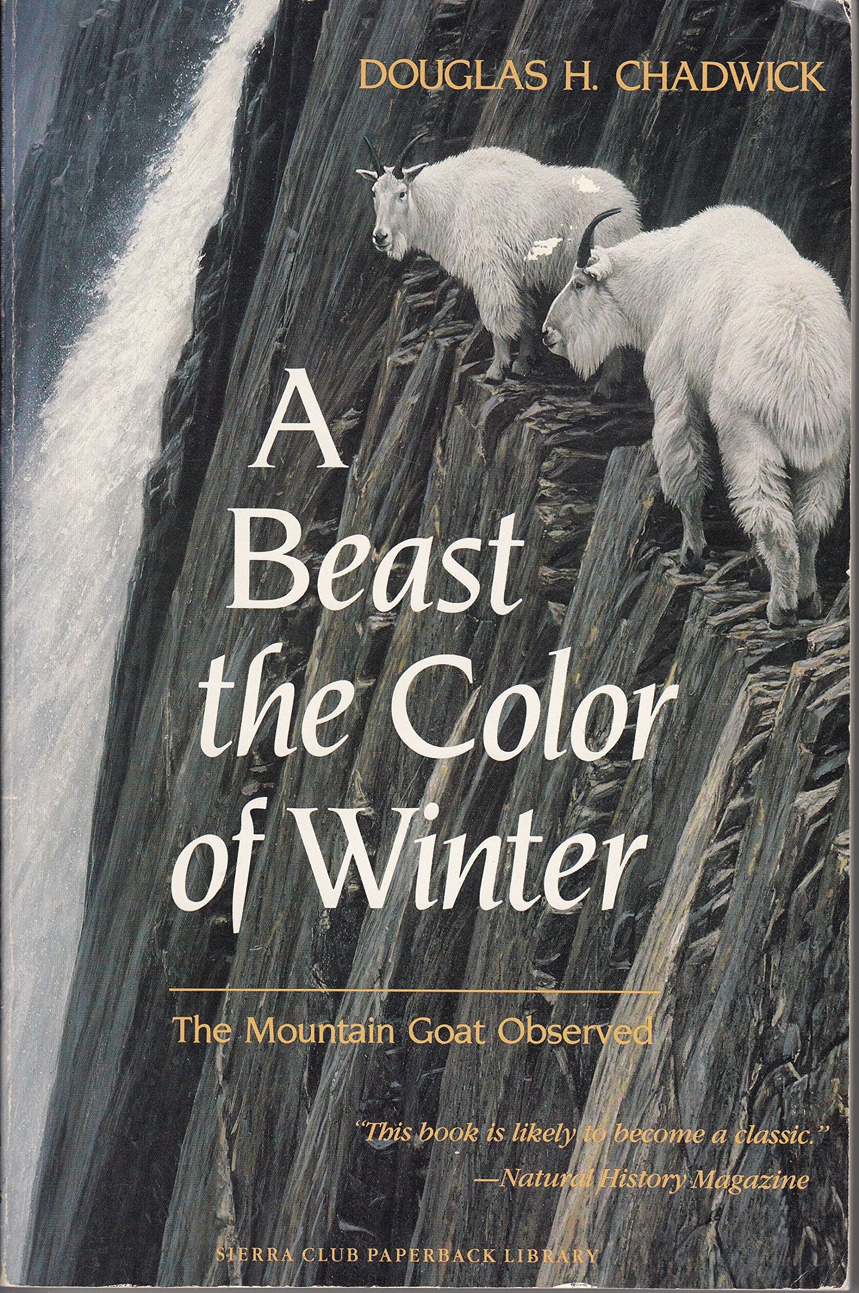 A Beast the Color of Winter