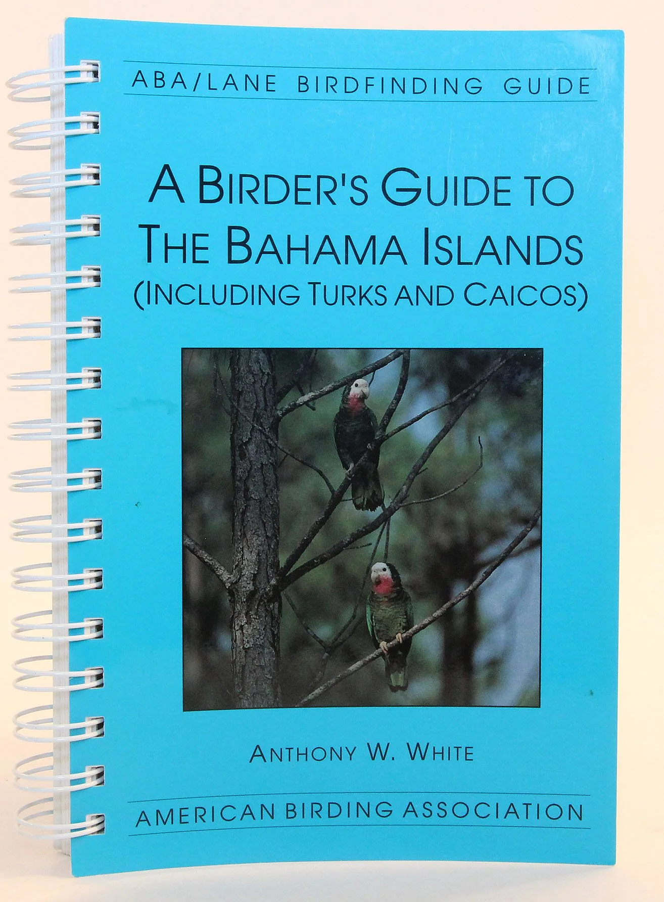 A Birders Guide to the Bahama Islands