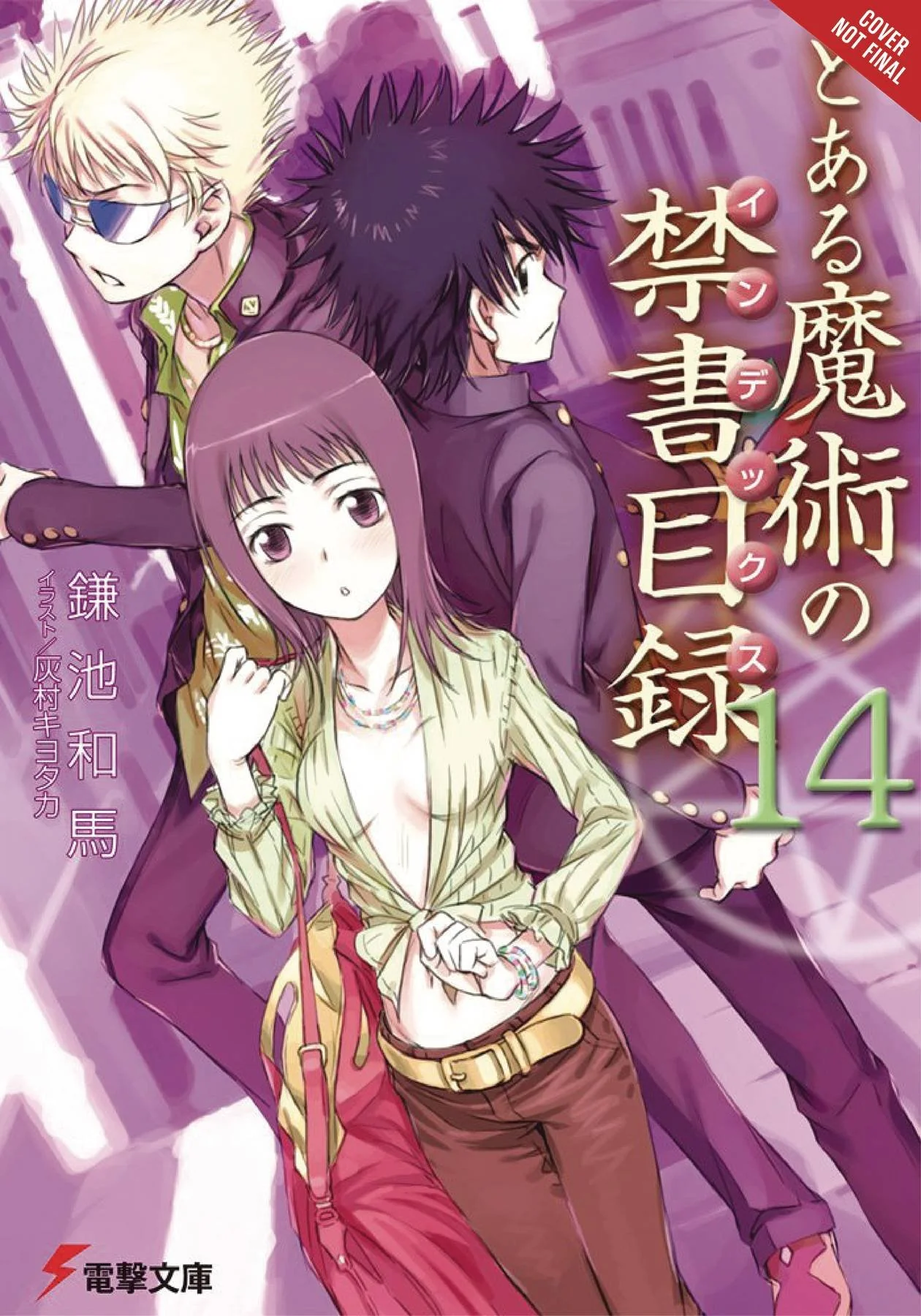 A Certain Magical Index, Vol. 14 (light novel) (A Certain Magical Index, 14)