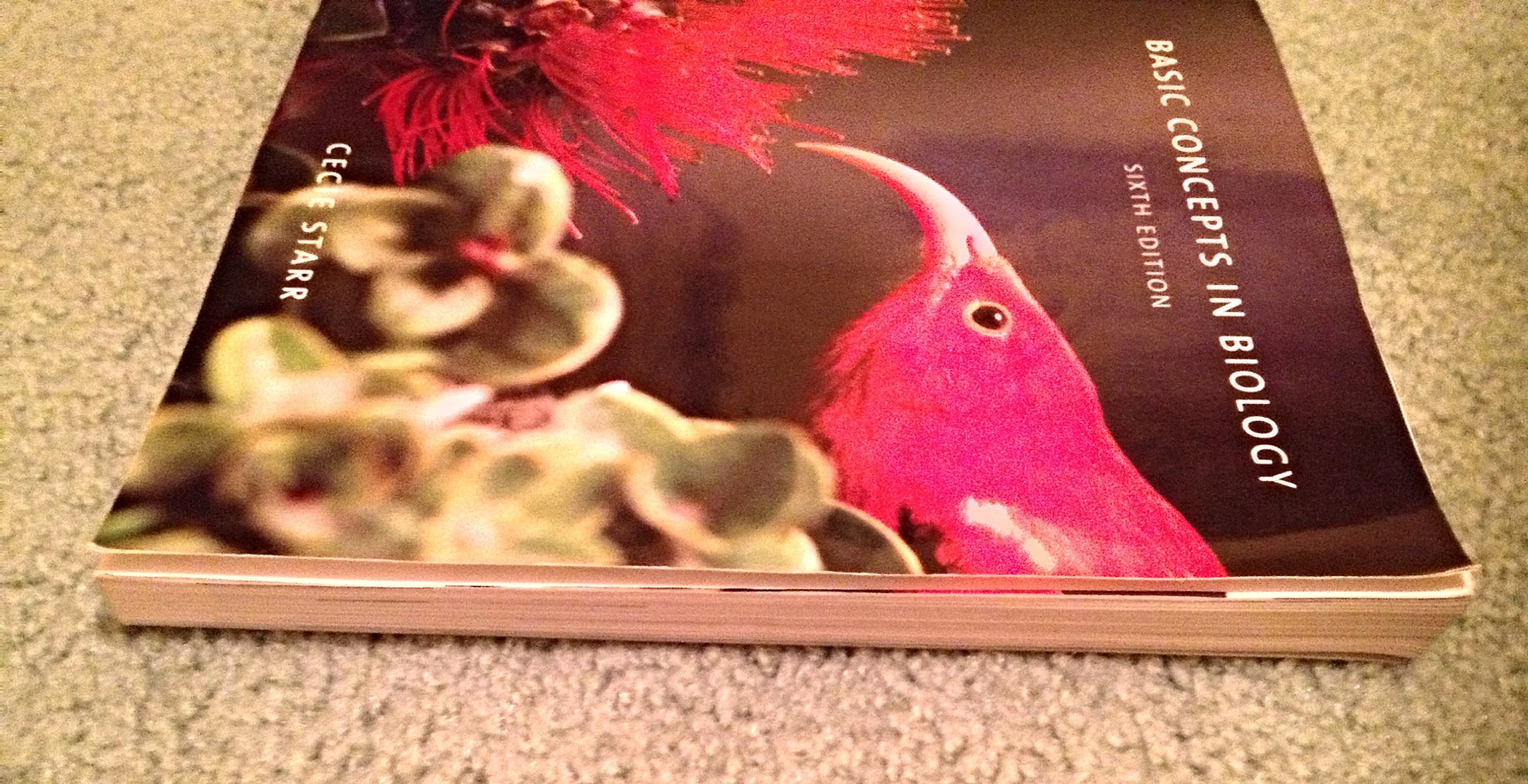 Basic Concepts In Biology (Brooks/Cole Biology),New - Image 3