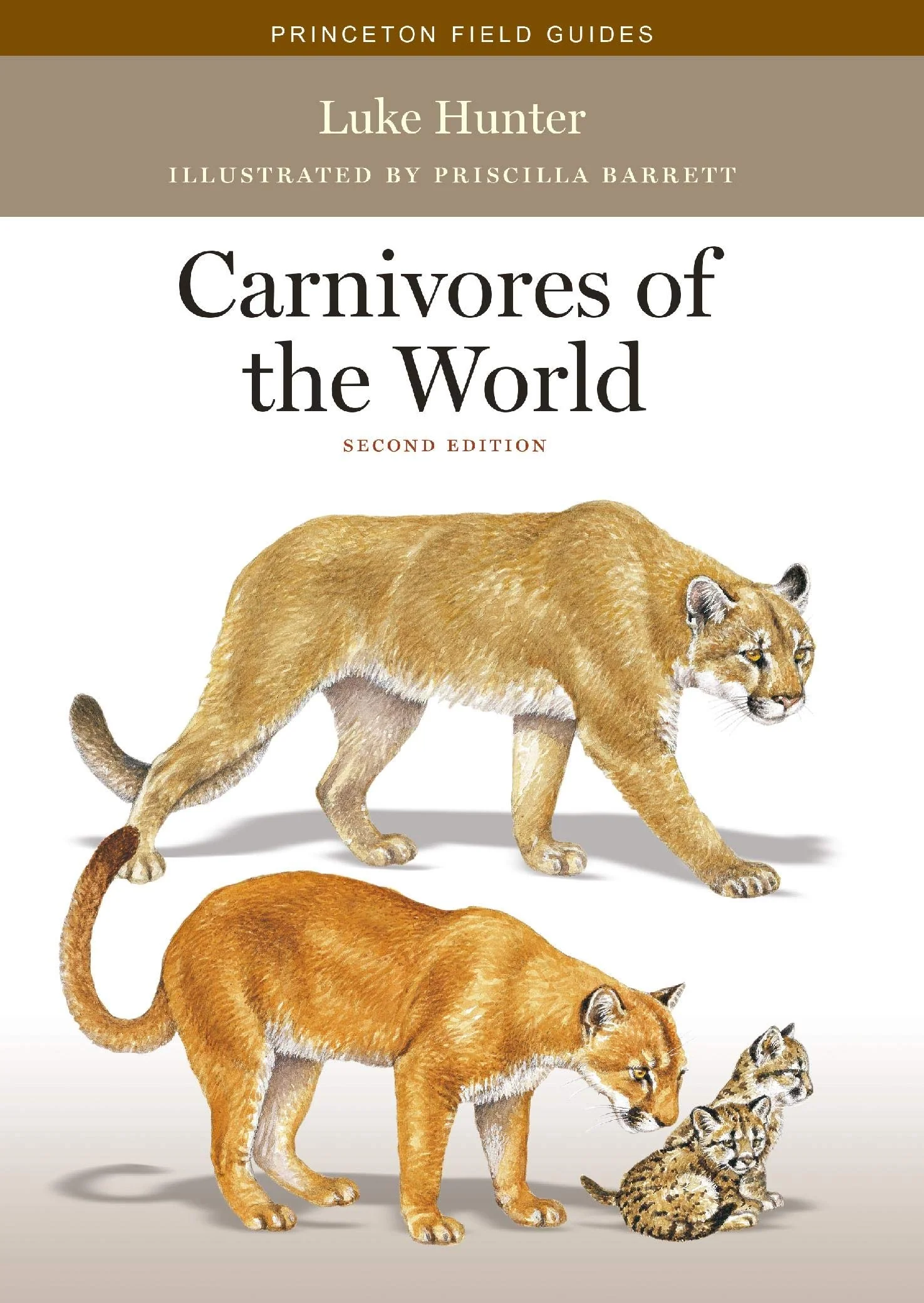 Carnivores of the World: Second Edition (Princeton Field Guides, 117)