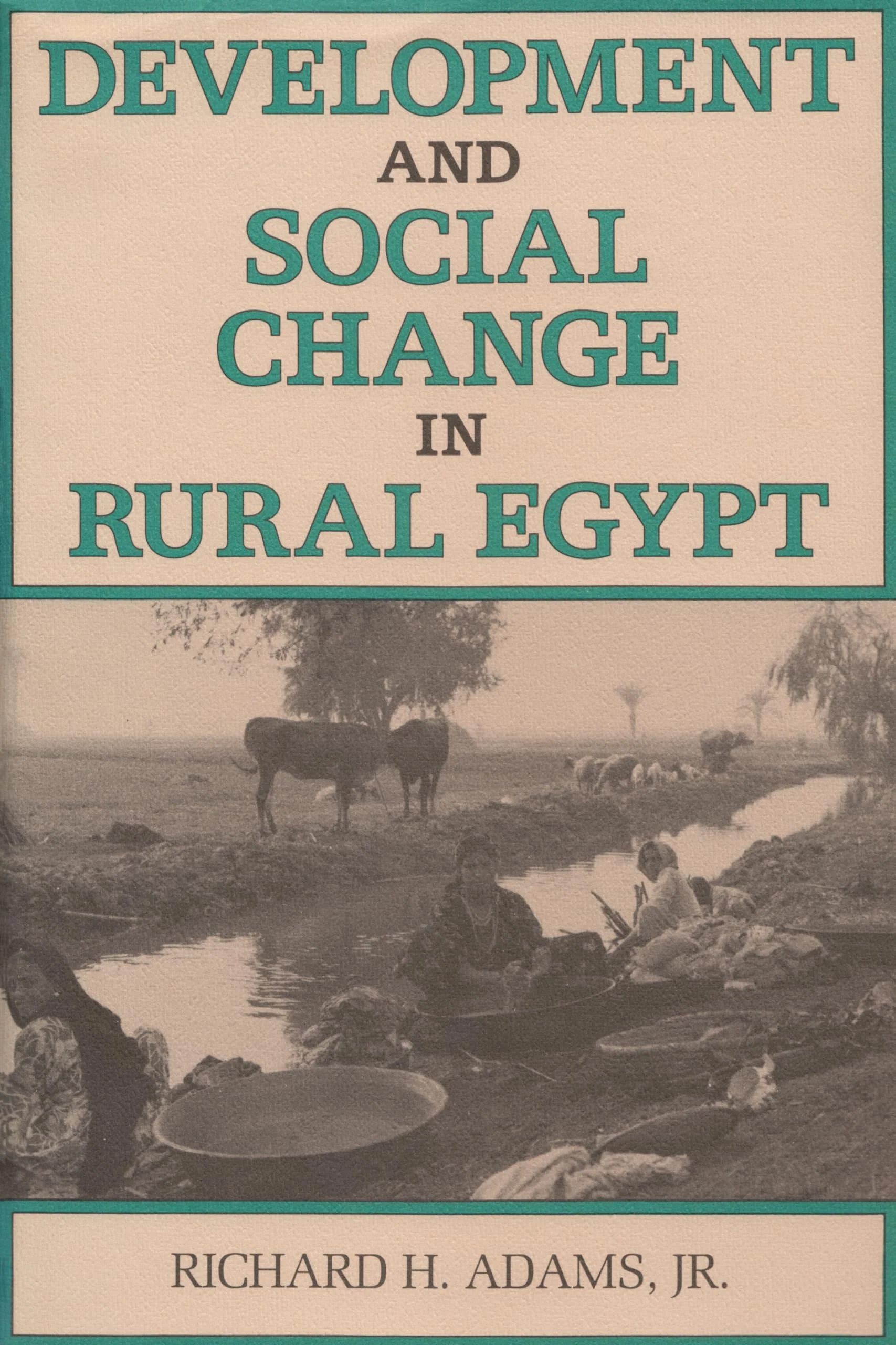 Development And Social Change In Rural Egypt (Contemporary Issues In The Middle East),New