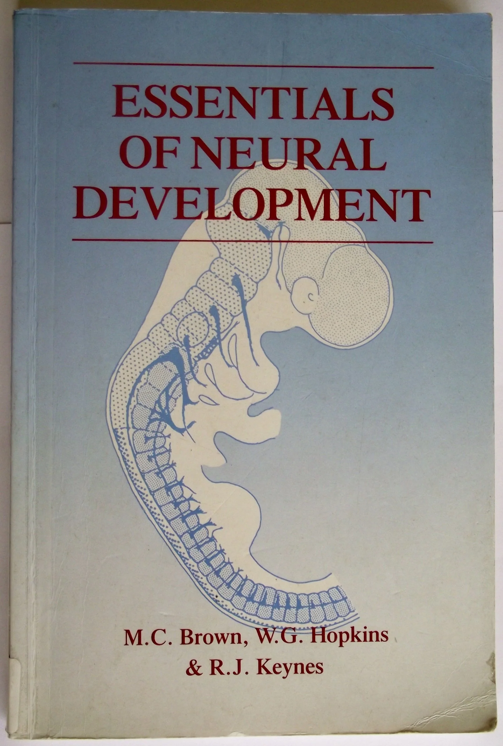 Essentials of Neural Development