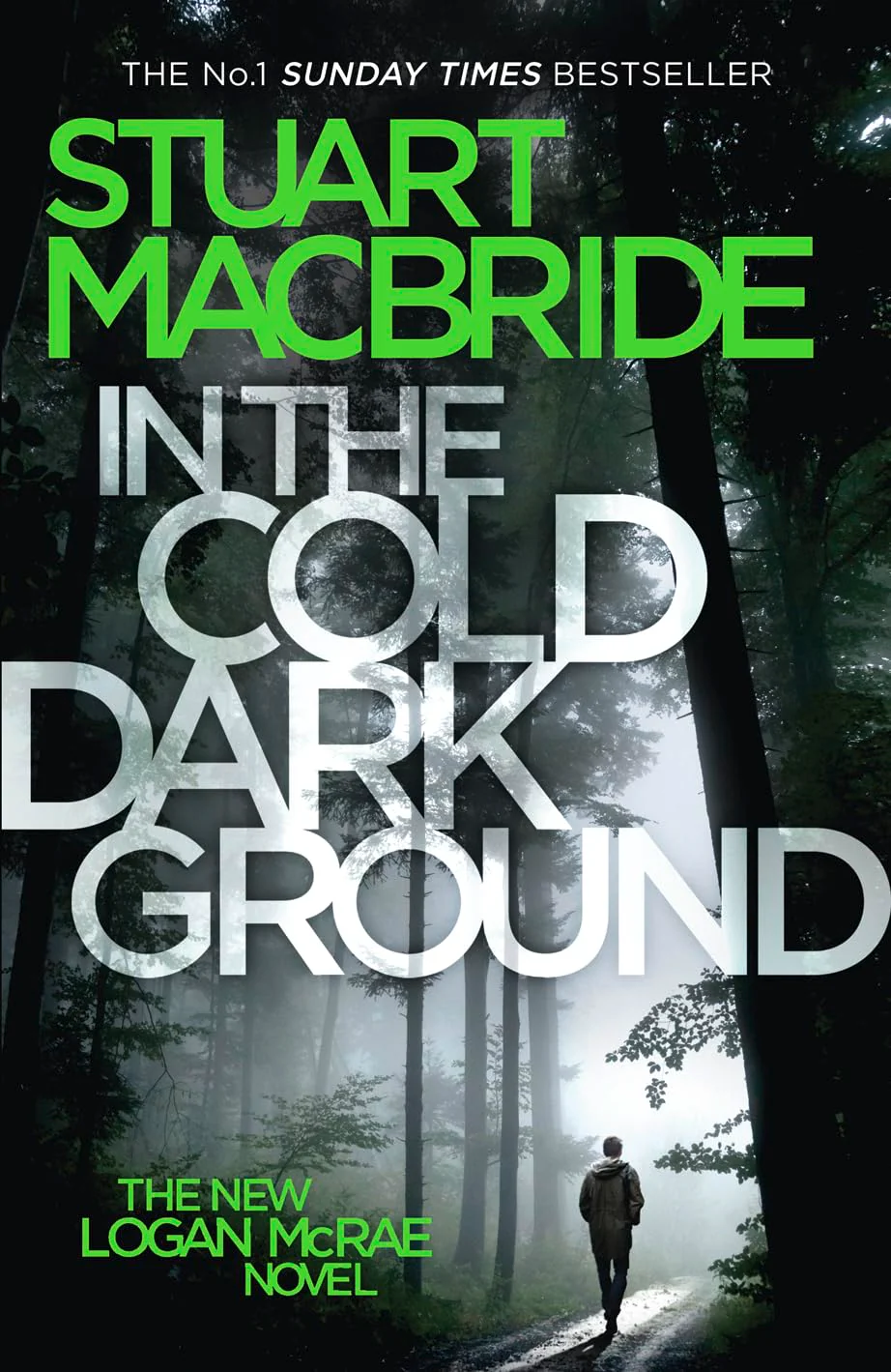 In the Cold Dark Ground (Logan McRae, Book 10)