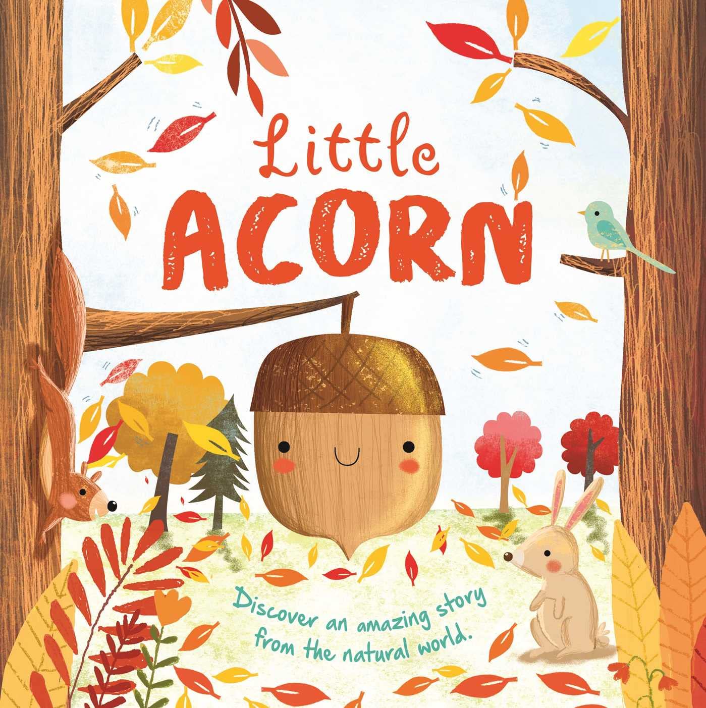 Nature Stories: Little AcornDiscover an Amazing Story from the Natural World: Padded Board Book
