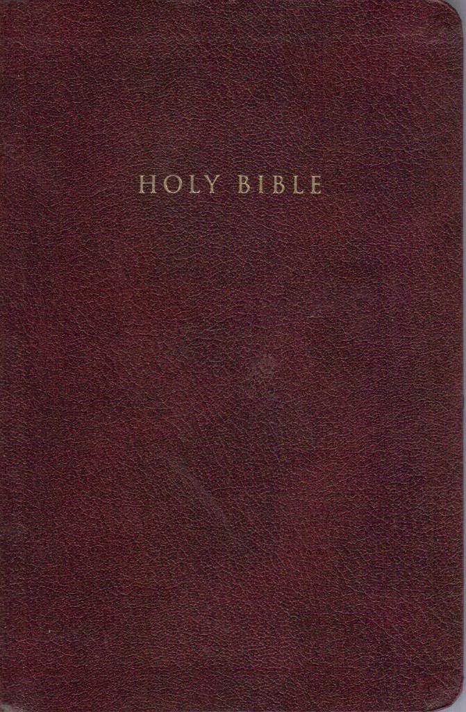 NIV Reference Bible, Personal Size (Burgundy LeatherLook)