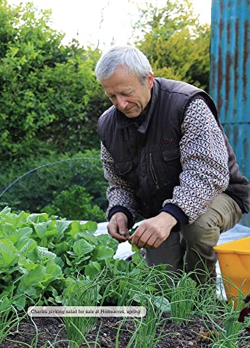 Salad Leaves for All Seasons: Organic Growing from Pot to Plot,Used - Image 3