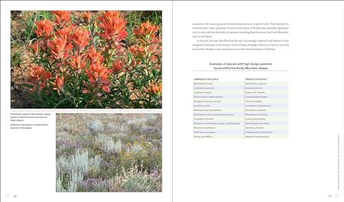 Sowing Beauty: Designing Flowering Meadows from Seed,Used - Image 5