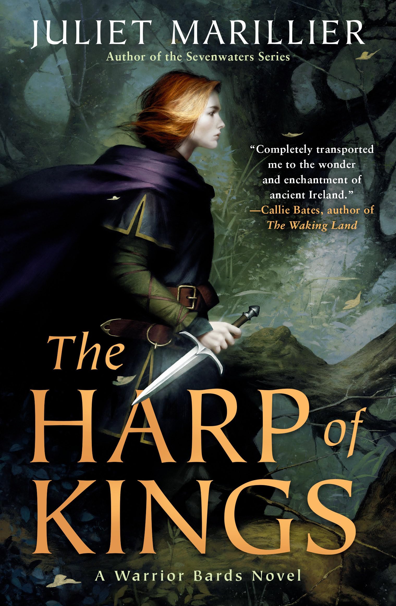 The Harp of Kings (Warrior Bards)