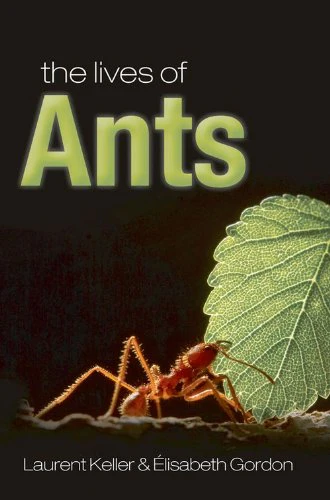 The Lives Of Ants,New