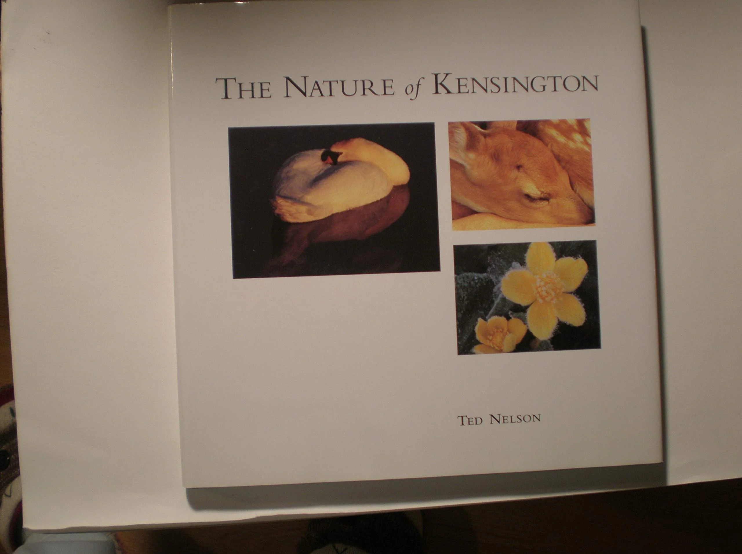 The Nature of Kensington