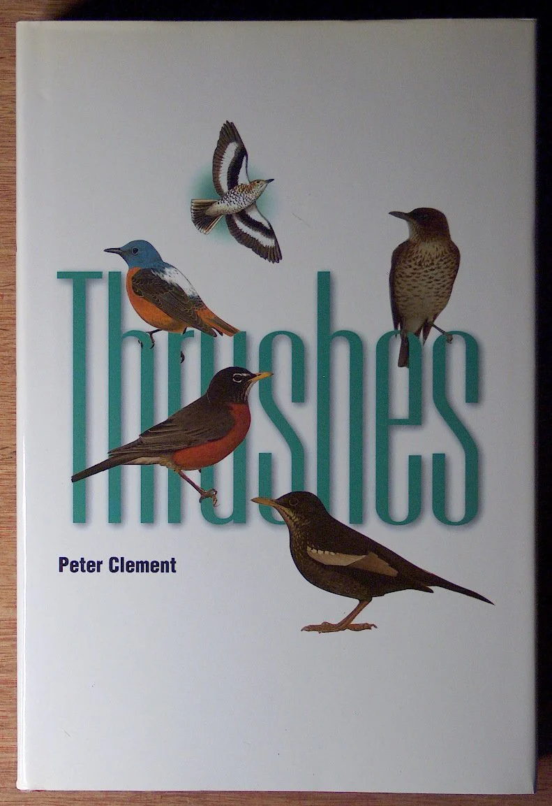 Thrushes
