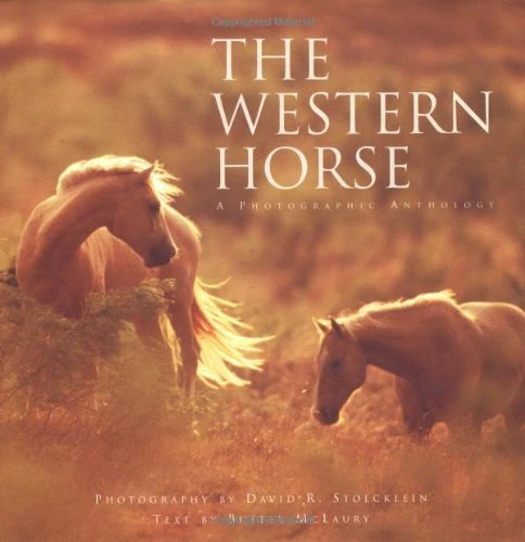 Western Horse: A Photographic Anthology