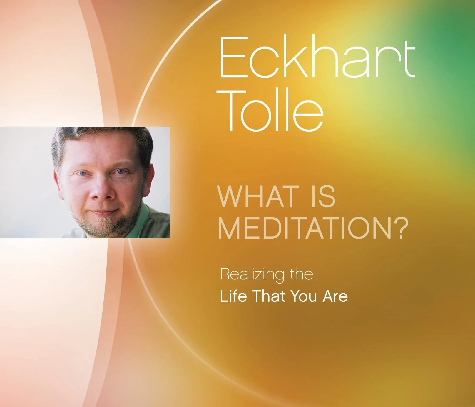What is Meditation?: Realizing the Life That You Are